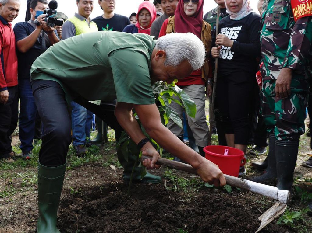 Ganjar Tanam 1.500 Pohon di Area Rawan Longsor-Banjir di Semarang
