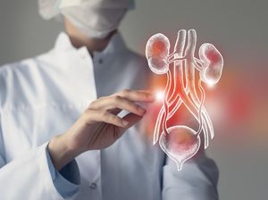 Dokter Wanti-wanti Infeksi Saluran Kemih yang Tak Disadari pada Anak Picu Gagal Ginjal Dokter Wanti-wanti Infeksi Saluran Kemih yang Tak Disadari pada Anak Picu Gagal Ginjal