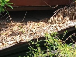 Jejak Memilukan Pesugihan 3 Rumah di Dekat Terminal Bungurasih