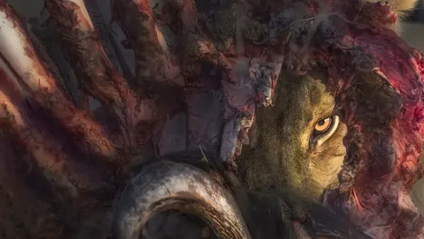 Karya Jawara Kontes Foto Travel 2022 Memukau Mata