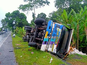 Truk Muat Bata Ringan Terguling di Tikungan Samsam Tabanan Truk Muat Bata Ringan Terguling di Tikungan Samsam Tabanan