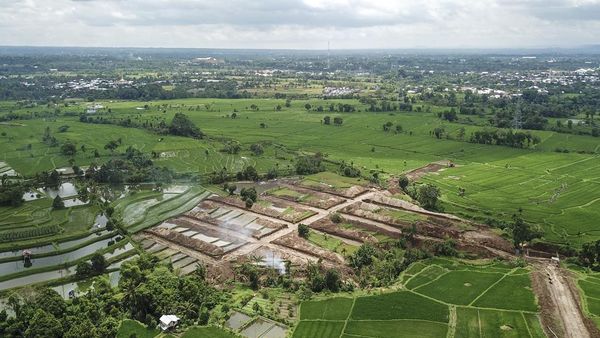 Alih Fungsi Lahan Pertanian Produktif di Lombok