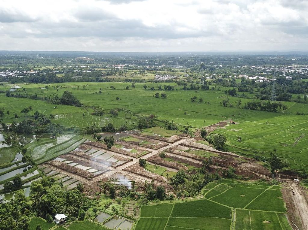 Alih Fungsi Lahan Pertanian Produktif di Lombok