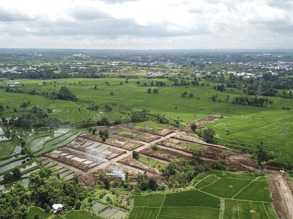 Alih Fungsi Lahan Pertanian Produktif di Lombok