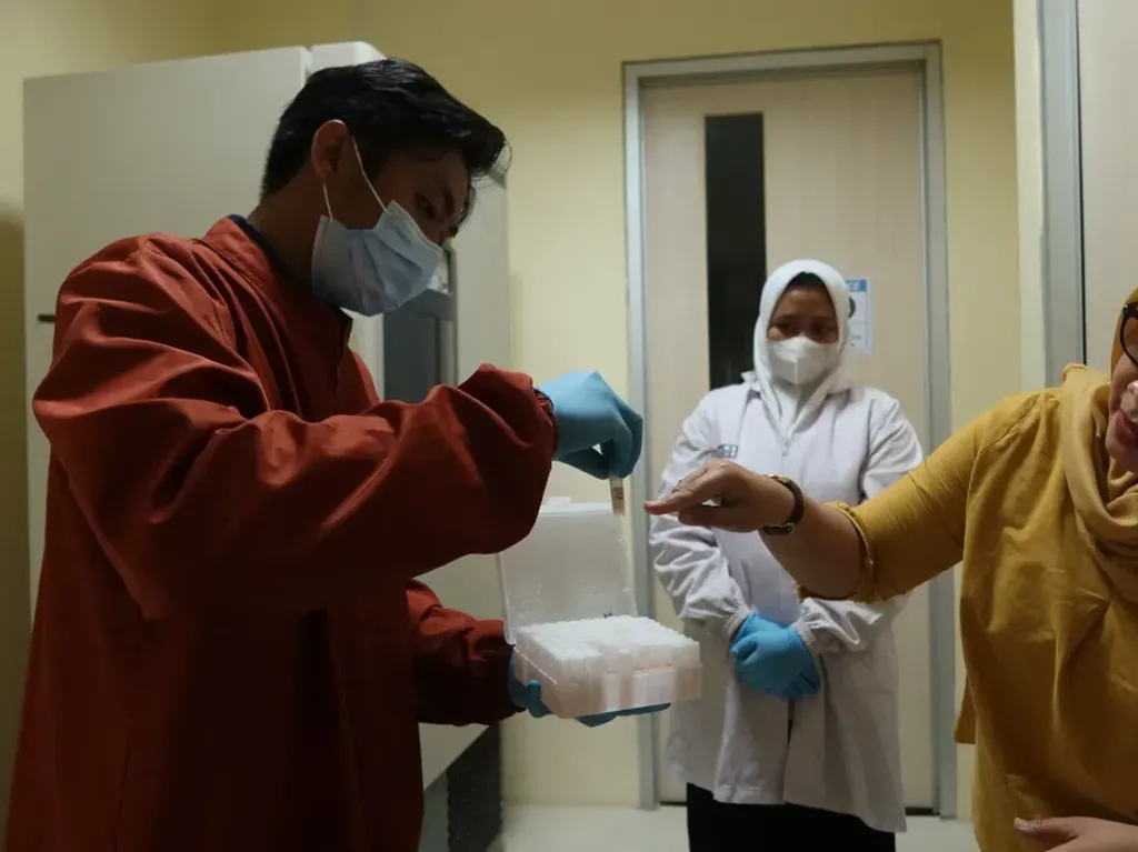Bukan dari Plasenta-Sumsum, Sel Punca Dikembangkan Unej dari Sel Rongga Mulut Bukan dari Plasenta-Sumsum, Sel Punca Dikembangkan Unej dari Sel Rongga Mulut