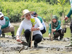 Festival Mangrove di Sidoarjo, Khofifah Kuatkan Sinergitas Jaga Ekosistem