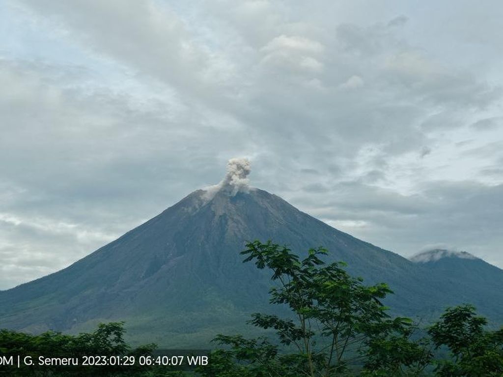 Gunung Semeru Erupsi, Keluarkan Letusan Setinggi 600 Meter Gunung Semeru Erupsi, Keluarkan Letusan Setinggi 600 Meter
