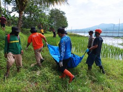 Bocah di Malang yang Tercebur Selokan Ditemukan