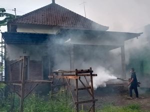 Jembrana Catat 45 Kasus Demam Berdarah di Awal 2023