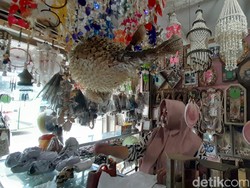 Kisah Susi Gantungkan Hidup di Pantai Pangandaran dari Limbah Laut