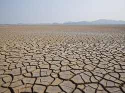 BMKG Prediksi Musim Kemarau 2023 Akan Lebih Kering