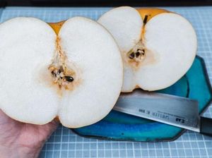 Jumbo! Satu Buah Pir Seberat 1,5 Kilogram Ini Dijual Rp 80 Ribu