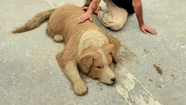 10 Potret Hewan yang Terbuat dari Pasir, Mirip Banget sama Aslinya