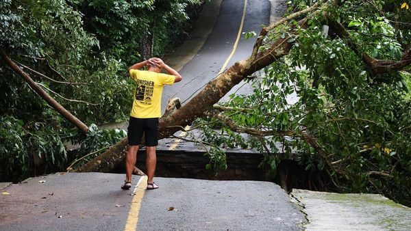 Imbas Tanah Longsor di Sabang, Jalan Putus-Pohon Tumbang