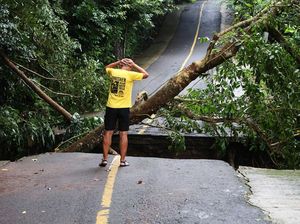 Imbas Tanah Longsor di Sabang, Jalan Putus-Pohon Tumbang