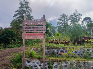 Koster Angkat Pemandu Wisata Gunung Agung Jadi Pegawai Oktober 2023 Koster Angkat Pemandu Wisata Gunung Agung Jadi Pegawai Oktober 2023