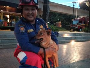 Kasihan, Anjing Ini 3 Hari Terjebak di Tengah Danau Miniatur Indonesia di TMII