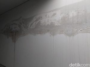 7 Jurus Jitu Atasi Dinding Rembes Saat Musim Hujan 7 Jurus Jitu Atasi Dinding Rembes Saat Musim Hujan