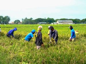 Tentang 24 September 2023 Diperingati Hari Tani Nasional ke-63 Tentang 24 September 2023 Diperingati Hari Tani Nasional ke-63
