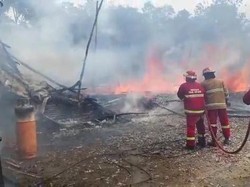Kandang 3 Lantai di Tenjo Bogor Terbakar, Puluhan Ribu Ekor Ayam Terpanggang