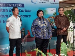 KLHK dan KKP Tekan Emisi Gas Rumah Kaca Lewat Ekosistem Karbon Biru