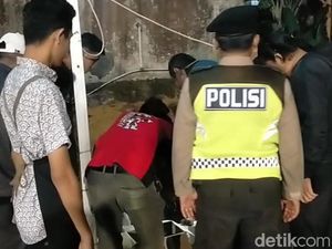 Sempat Bikin Geger, Penemuan Belulang di Jambi Ternyata Tulang Hewan Sempat Bikin Geger, Penemuan Belulang di Jambi Ternyata Tulang Hewan