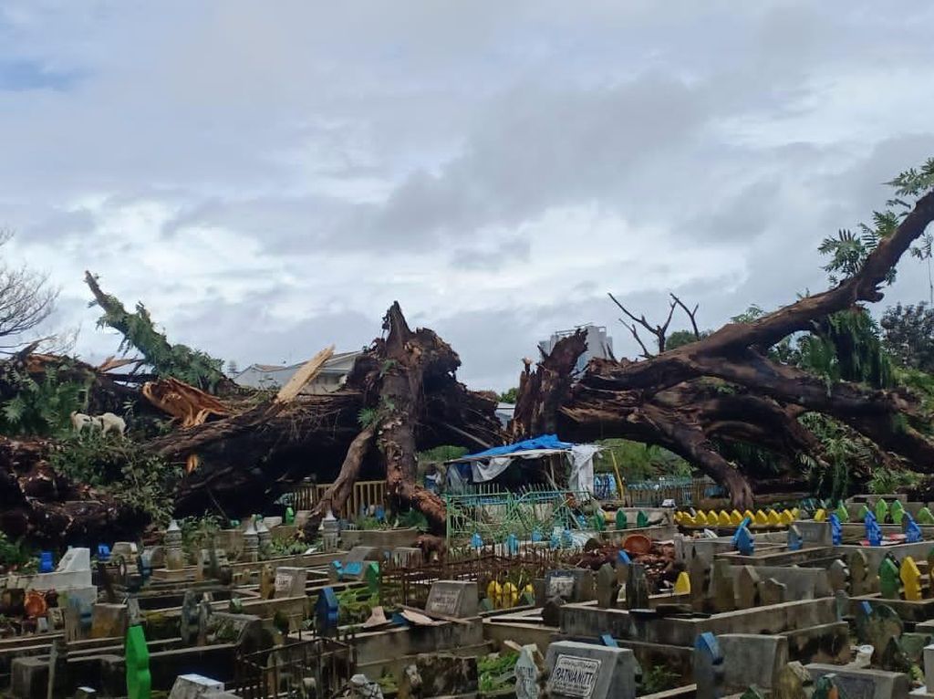 Pohon Tumbang di TPU Dadi Makassar, Sejumlah Kuburan Rusak