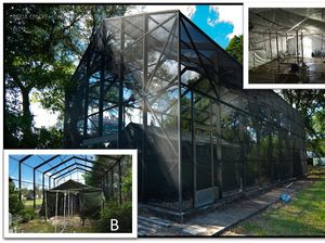 Mahasiswa Bikin Alat Obat Nyamuk Kualitas Militer, Bisa buat Hiking & Mancing!