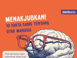 Infografis: Menakjubkan! 10 Fakta Sains tentang Otak Manusia