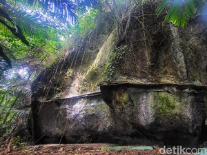 Ada Makam Palsu di Sukabumi, Kini Jadi Kerajaan Monyet Ada Makam Palsu di Sukabumi, Kini Jadi Kerajaan Monyet