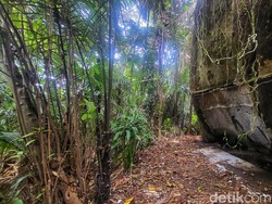 Batu Raksasa, Lokasi Makam Palsu yang Kini Jadi Kerajaan Monyet