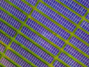 Kejar Target Nol Emisi Karbon, ASEAN Butuh Energi Terbarukan 1.100 GW!