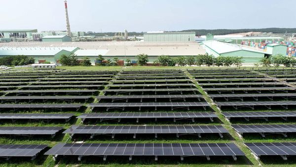 Canggih! Ini Panel Surya Terbesar di Indonesia, Sudah Tahu?