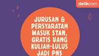 Infografis: Jurusan dan Persyaratan Masuk STAN