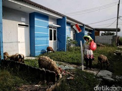 Harga Jual Rumah Subsidi Naik, Masyarakat Masih Bisa Beli?