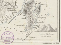 4 Cerita Viral di Medsos Soal Kota Gaib Saranjana di Kalimantan