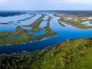 Hari Lahan Basah Sedunia 2023, Fakta hingga 7 Manfaat Restorasi
