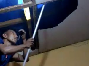 Ular Piton 3 Meter Sembunyi di Plafon Rumah Warga Parepare, Damkar Evakuasi