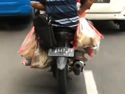 Heboh Video Pemotor Bawa Karung Isi 6 Kucing di Bogor, Ini Faktanya