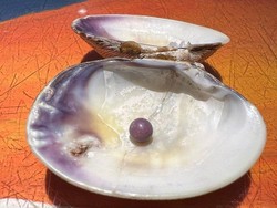 Cuan! 5 Orang Ini Dapat Rezeki Nomplok Tak Terduga Saat Makan