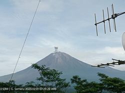 Gunung Semeru Erupsi Setinggi 700 Meter dari Puncak