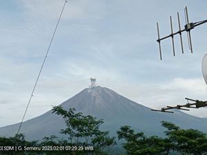 Gunung Semeru Erupsi Setinggi 700 Meter dari Puncak