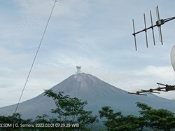 Gunung Semeru Erupsi Setinggi 700 Meter dari Puncak