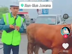 Sembelih Sapi untuk Proyek Jembatan Pati gegara Sering Terjadi Keanehan