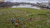 Aksi Petugas Bersihkan Sungai Martapura yang Tertutup Sampah