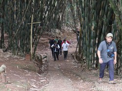 Belajar Konservasi Sambil Wisata di Udjo Ecoland Bandung