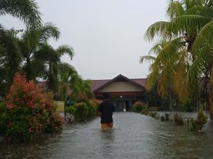 Pemkab Sambas Tetapkan Status Darurat Banjir 31 Hari, 10.885 KK Terdampak