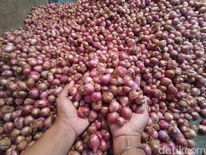 Harga Bawang Merah di Kota Blitar Kembali Naik Harga Bawang Merah di Kota Blitar Kembali Naik