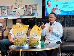 Buwas Usul Tunjangan ASN, TNI/Polri Pakai Beras Bulog