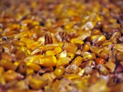 Kuantitas Adalah: Macam, Contoh, dan Perbedaan dengan Kualitas